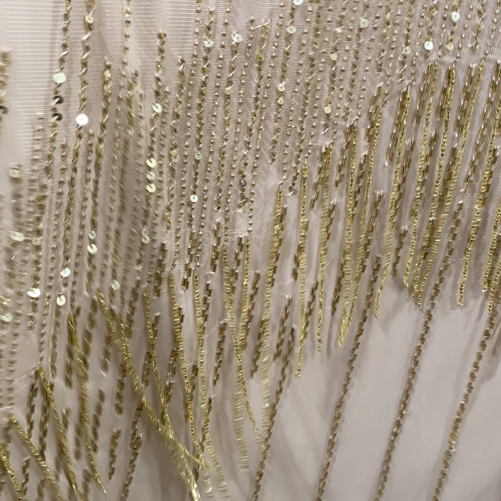 Adrianna papell Champagne/gold fully beaded sheer neckline and fringes gown - Picture 11 of 11